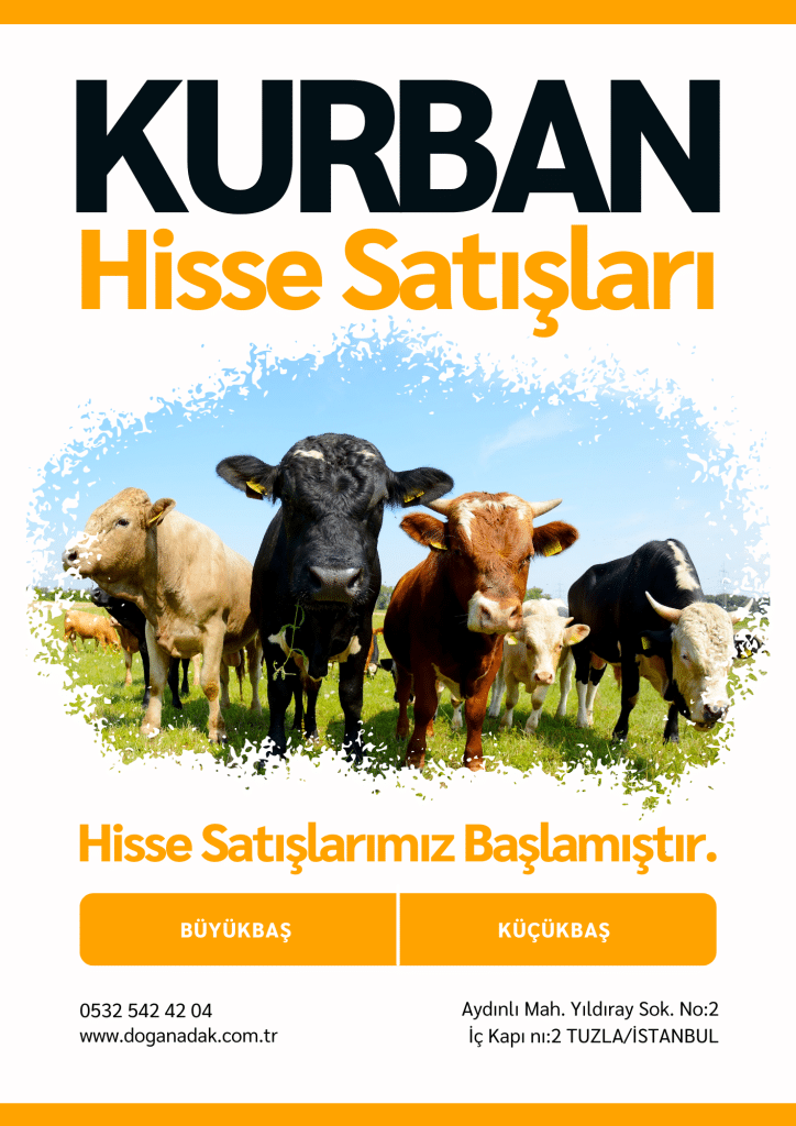 doğan adak ve kurban hisseleri